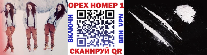 купить наркоту  Судогда  hydra вход  COCAIN 99% 