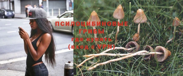 метамфетамин Аркадак
